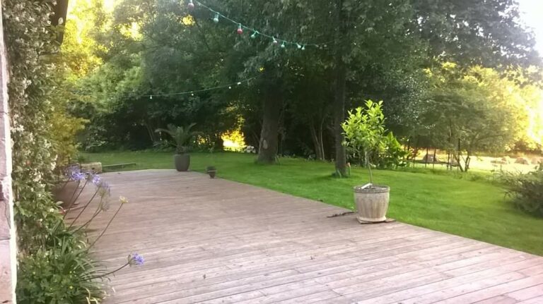 FB_IMG_1594116426686